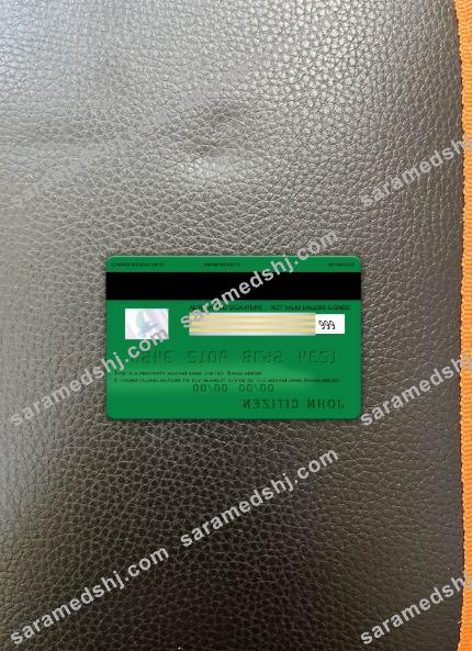 Bangladesh Agrani bank visa card photolook back